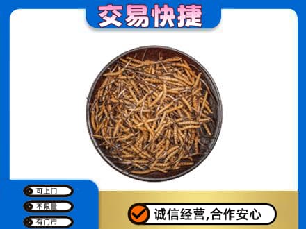 楚雄南华县礼品回收虫草.jpg